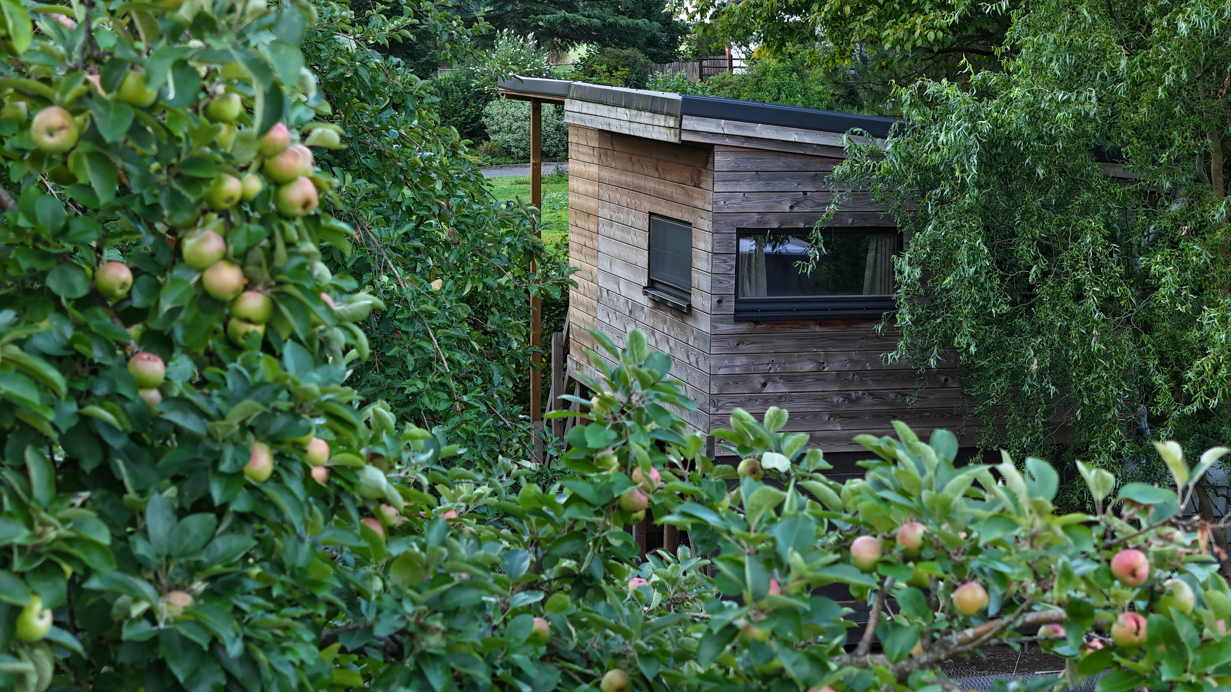 Cabane insolite à Beauraing